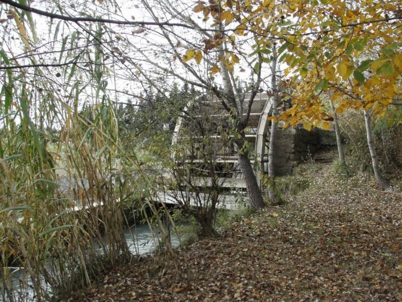 Mas restauré à vendre à Cheval-Blanc avec un jardin arboré