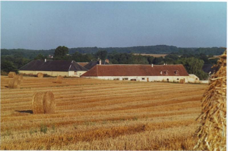 immobilier sologne