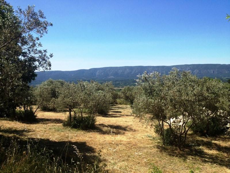 Terrain à bâtir  à vendre à Gordes avec une superbe vue sur la Montagne du Luberon