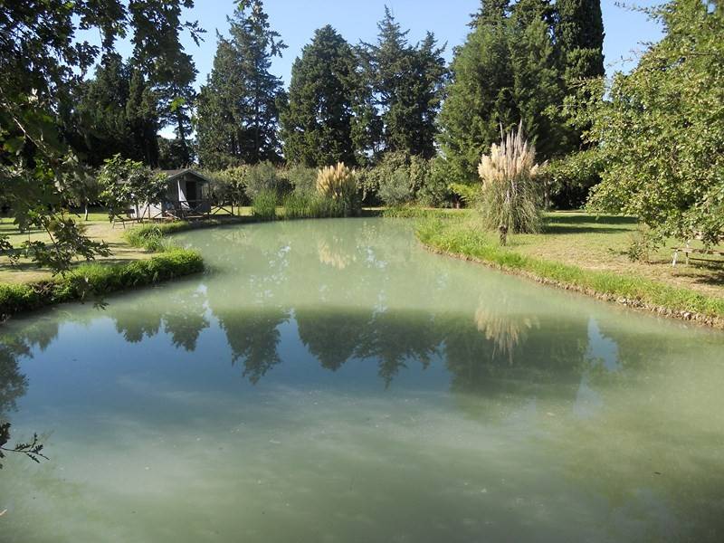 Propriété avec son étang privé