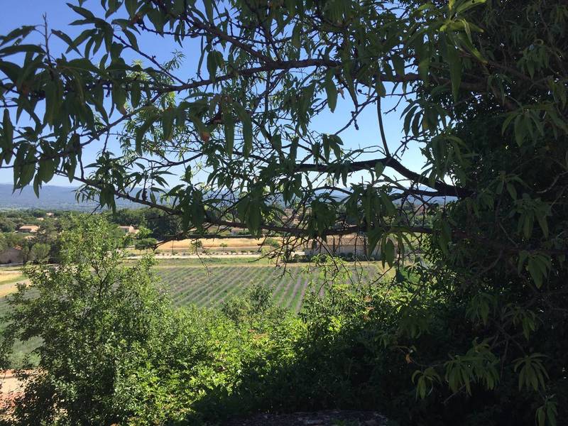maubec immobilier