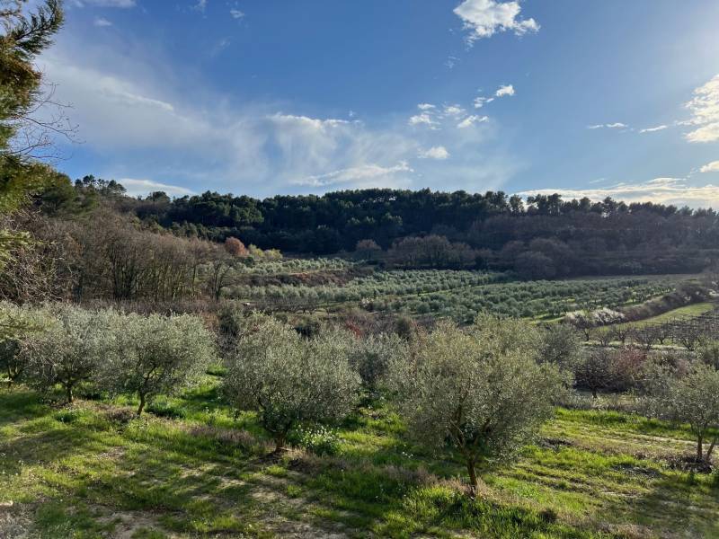 pernes les fontaines immobilier