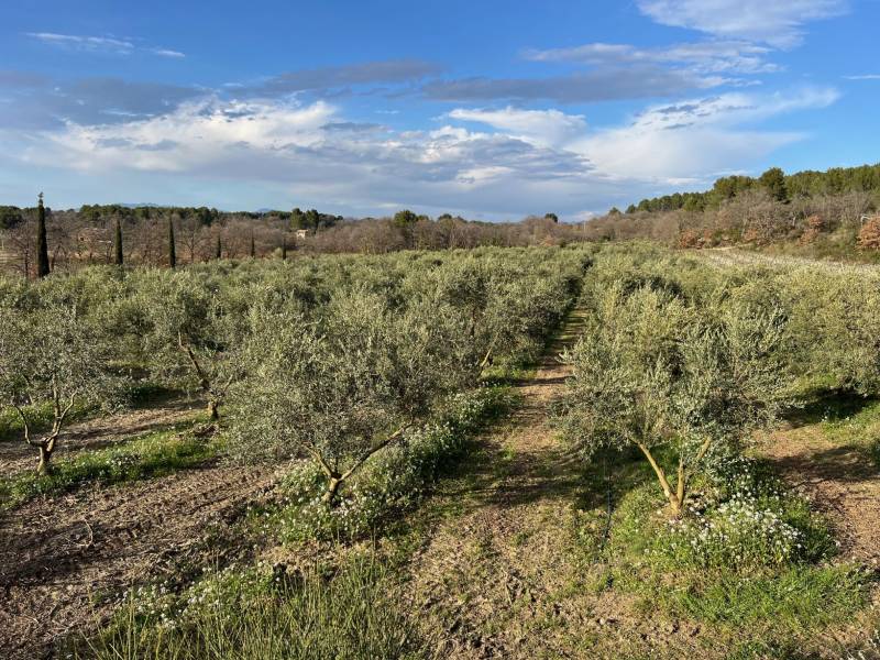 immobilier luberon