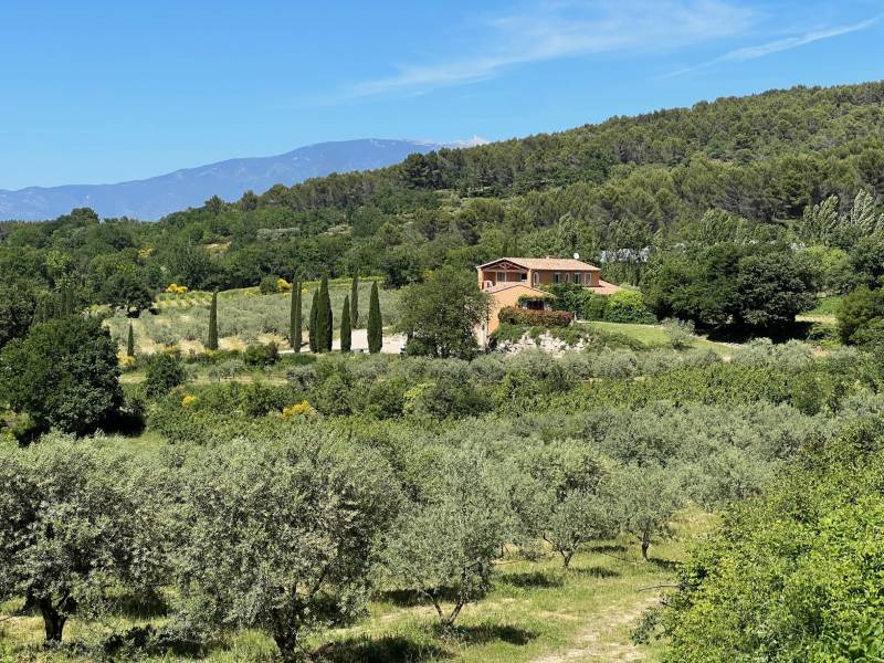 Immobilière du Luberon