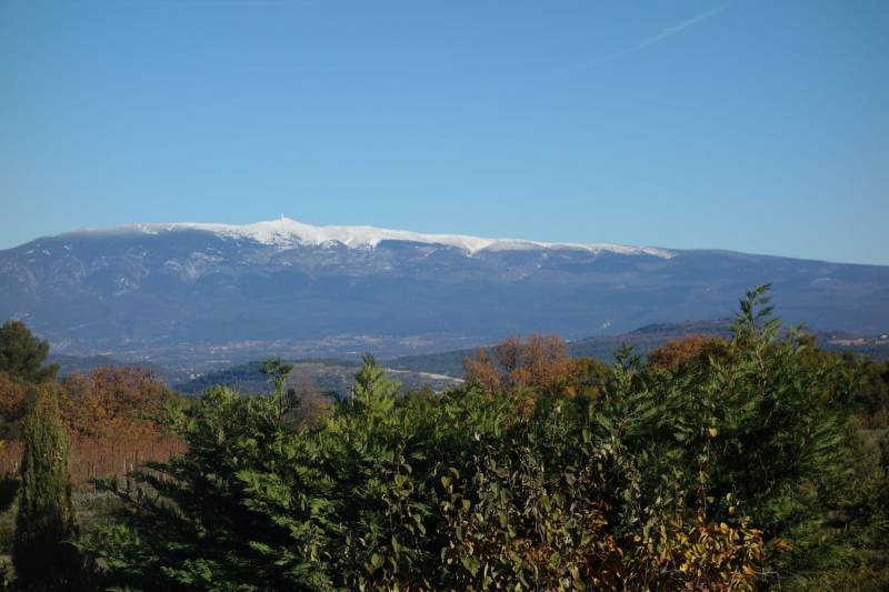 maison avec vue sur le mont ventoux