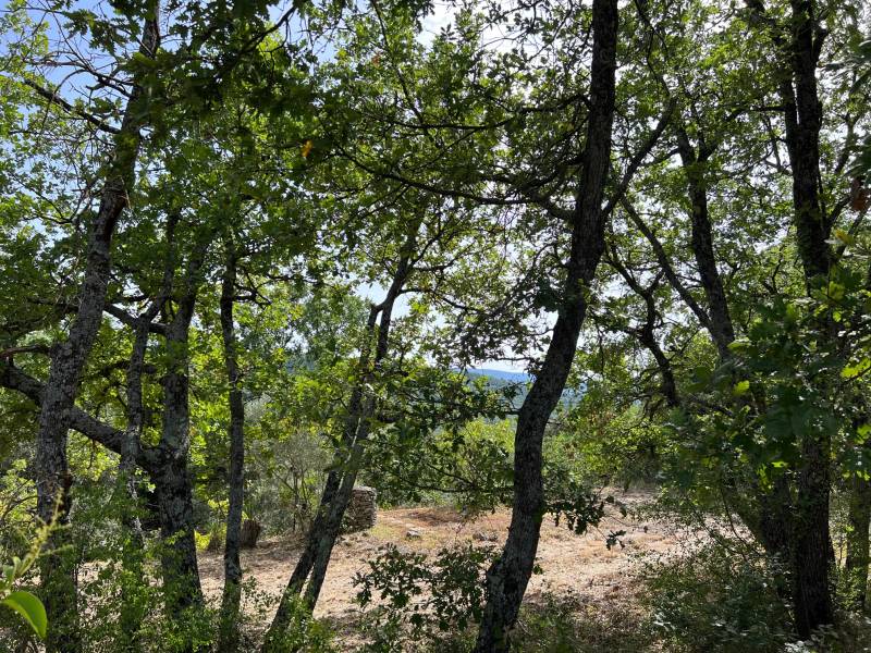 immo luberon
