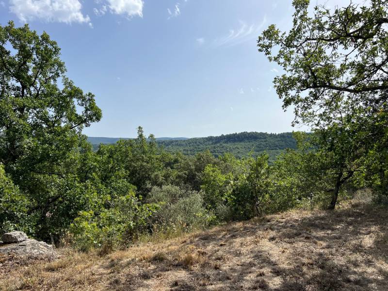 immobilière du luberon