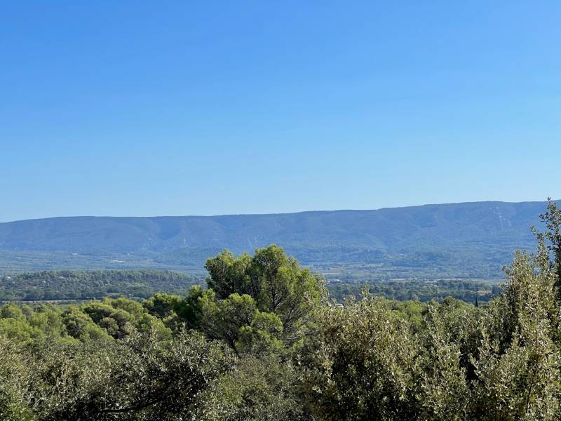 immobilier luberon 