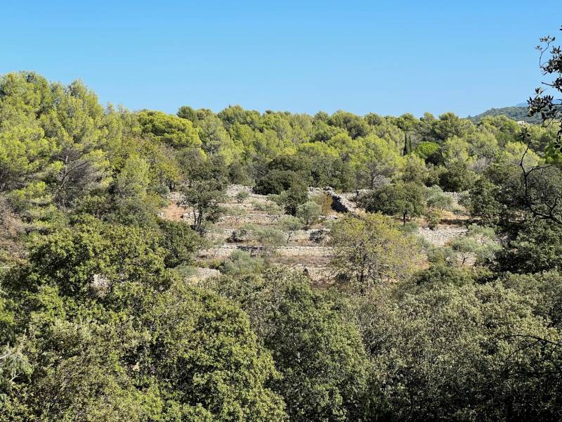 propriété vaucluse