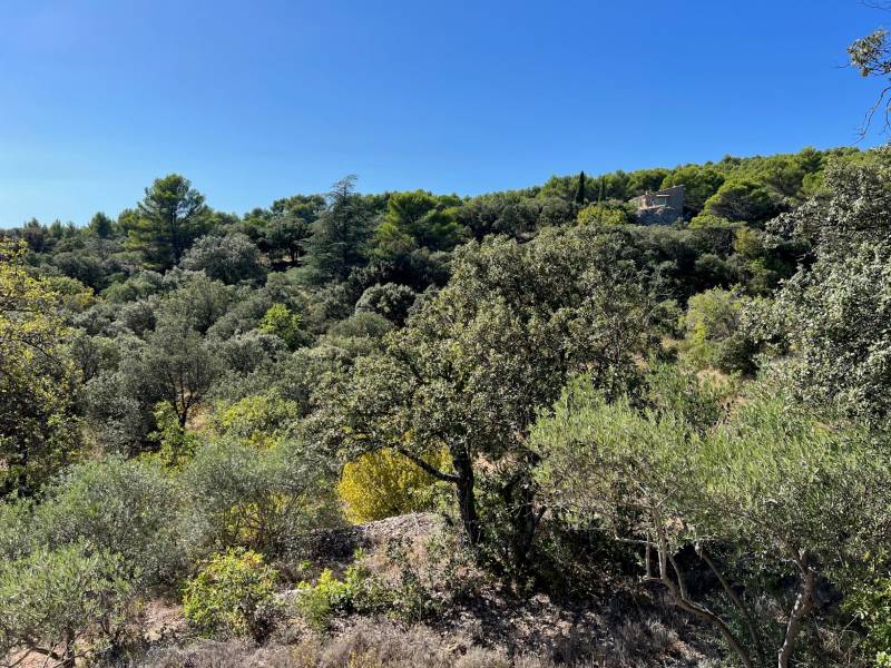 propriété provence