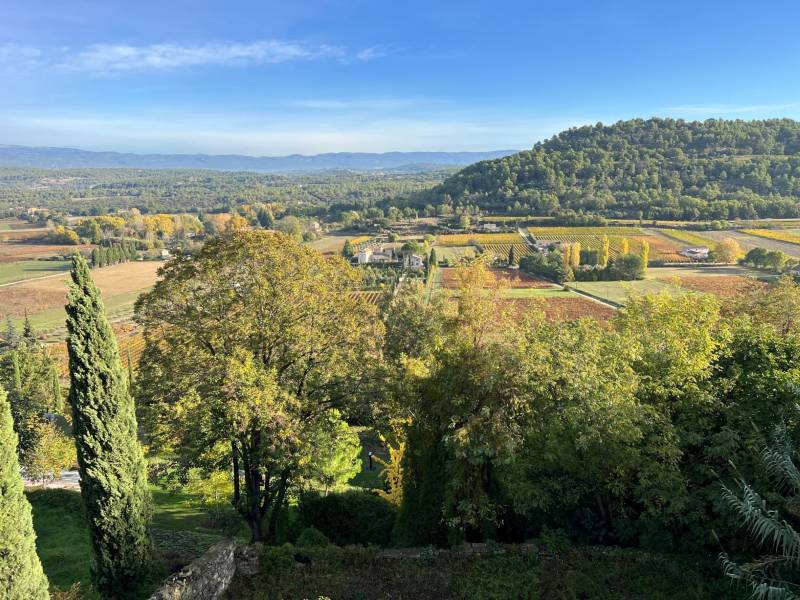 ménerbes immobilier