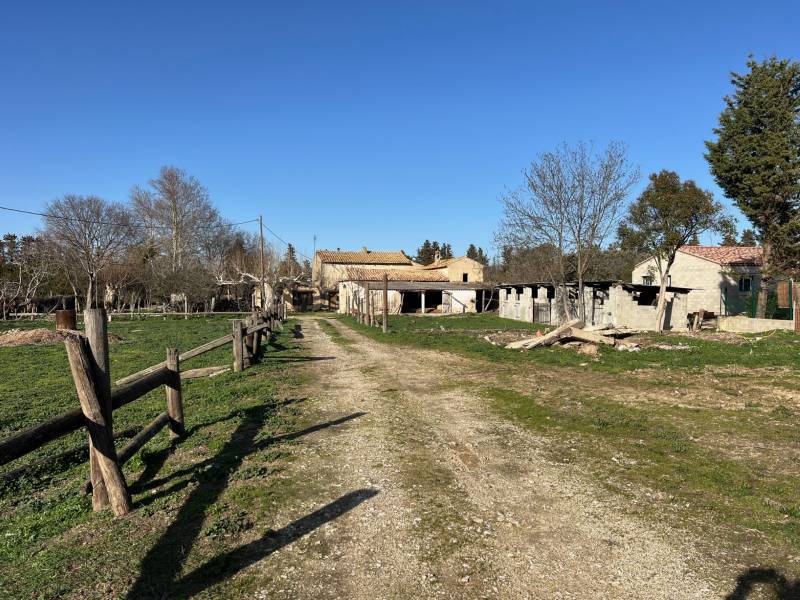 mas à restaurer les taillades