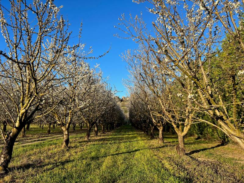 luberon immobilier