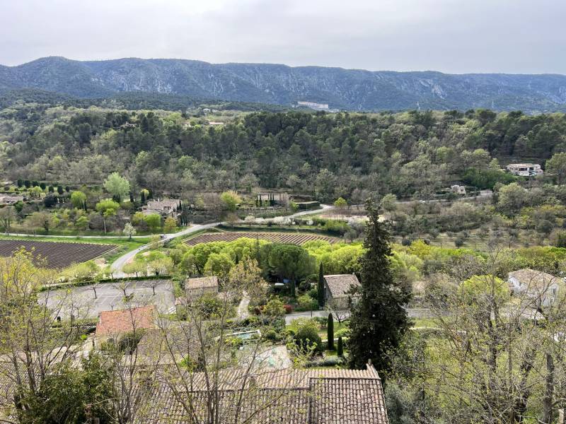 luberon immobilier