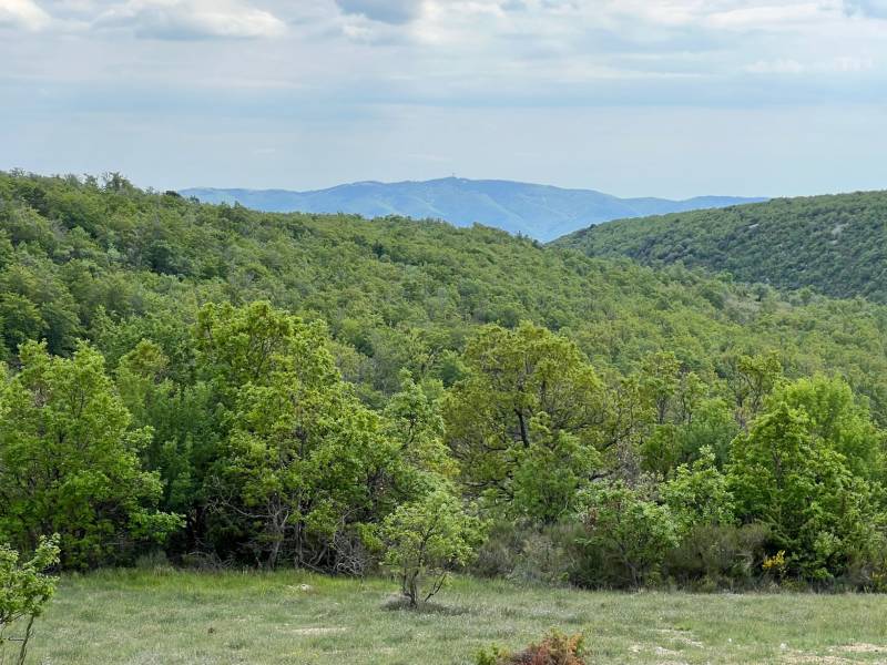 propriété avec vue panoramique