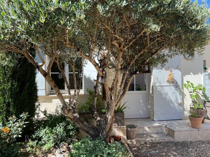 maison villeneuve les avignon