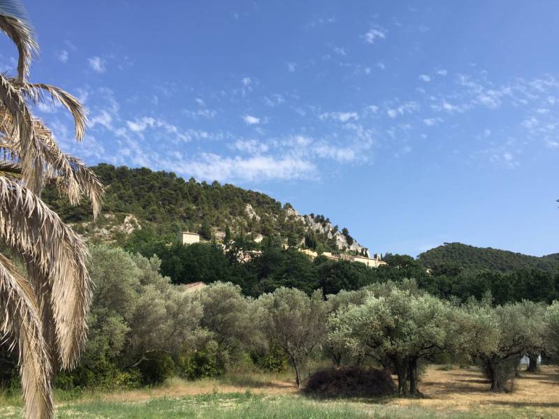 seguret immobilier