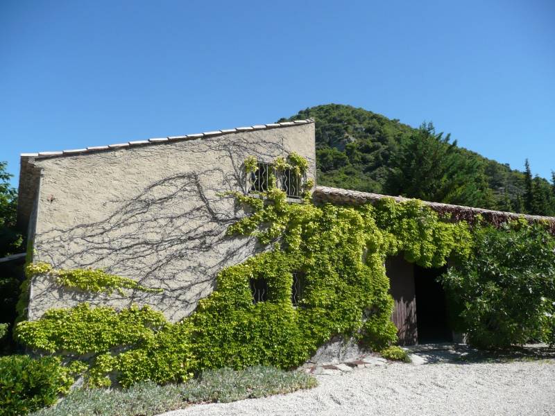 Maison de village à vendre à Séguret avec un jardin, une oliveraie, une piscine deux maisons et une grande dépendance