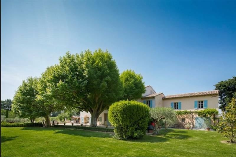 avignon immobilier