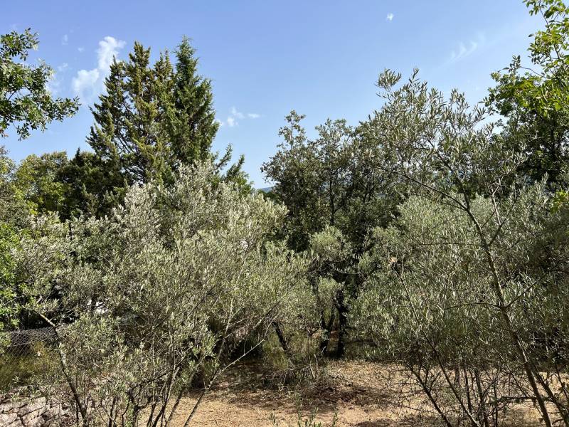 immobilier luberon