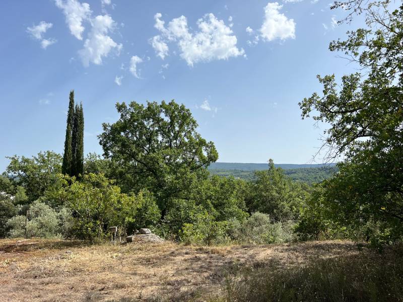 immobilier goult