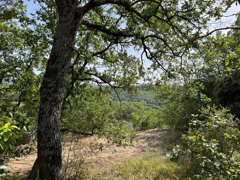 terrain a batir luberon