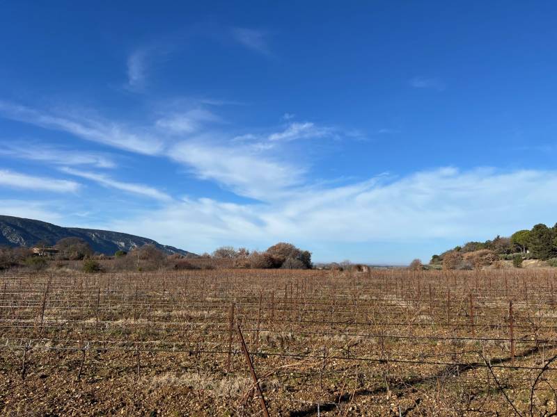 immobilière du luberon