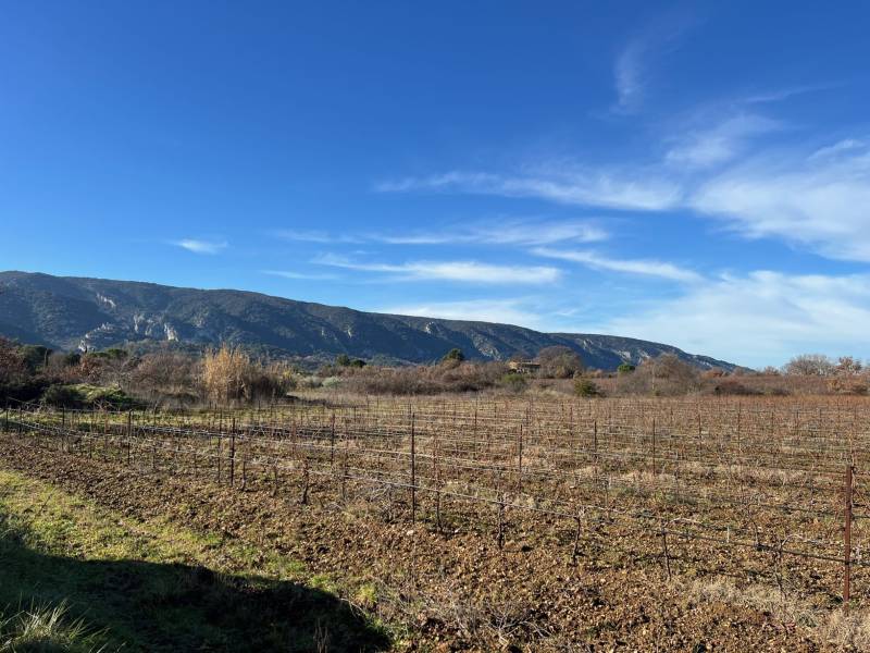 immobilier luberon