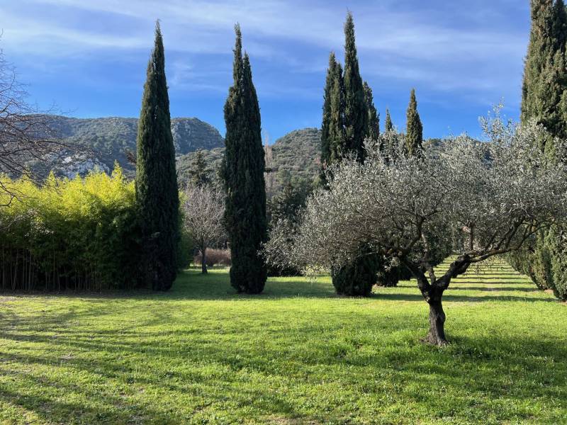 immobilier luberon