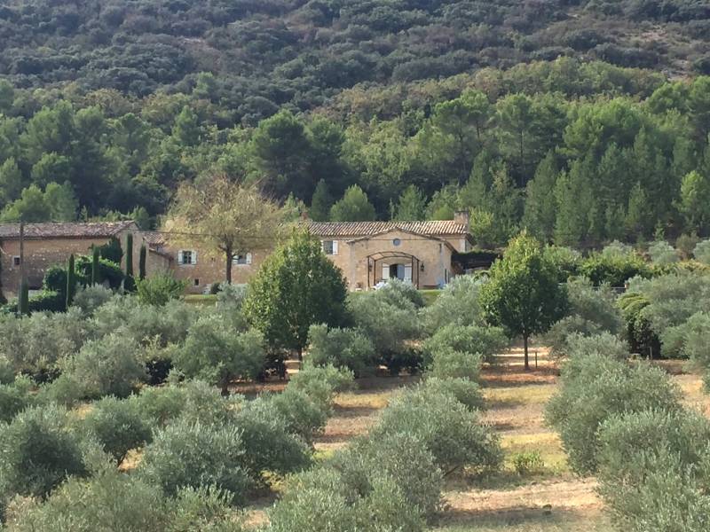 immo luberon 