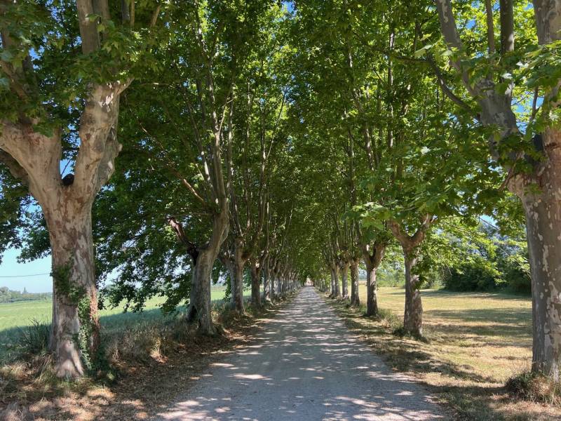 Propriété de prestige Avignon