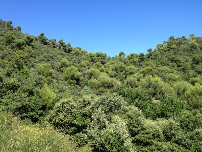 Domaine de chasse dans le Luberon