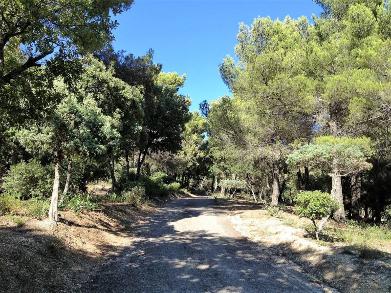 Domaine de chasse en Provence
