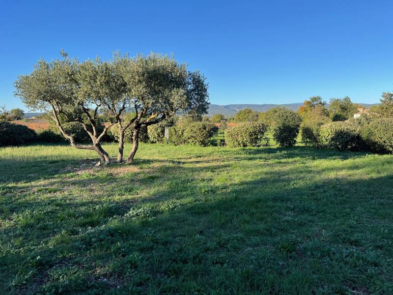 oppède immobilier