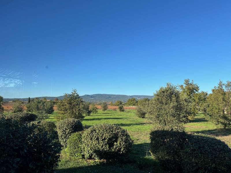 immobilier oppède