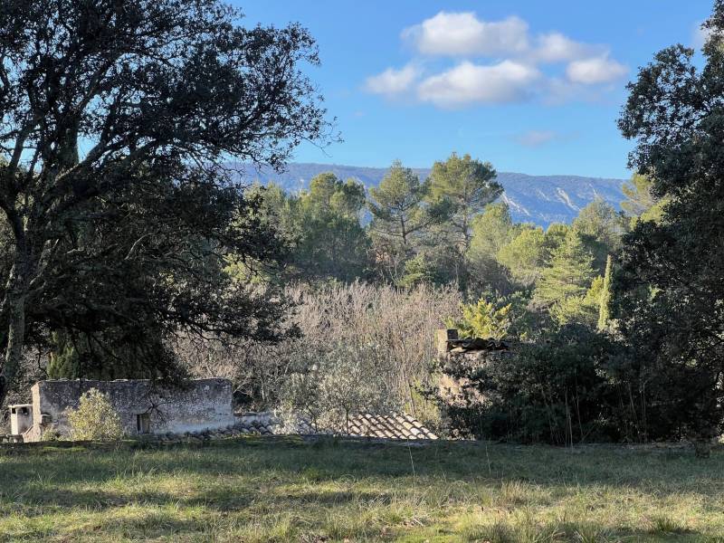 immobilier ménerbes