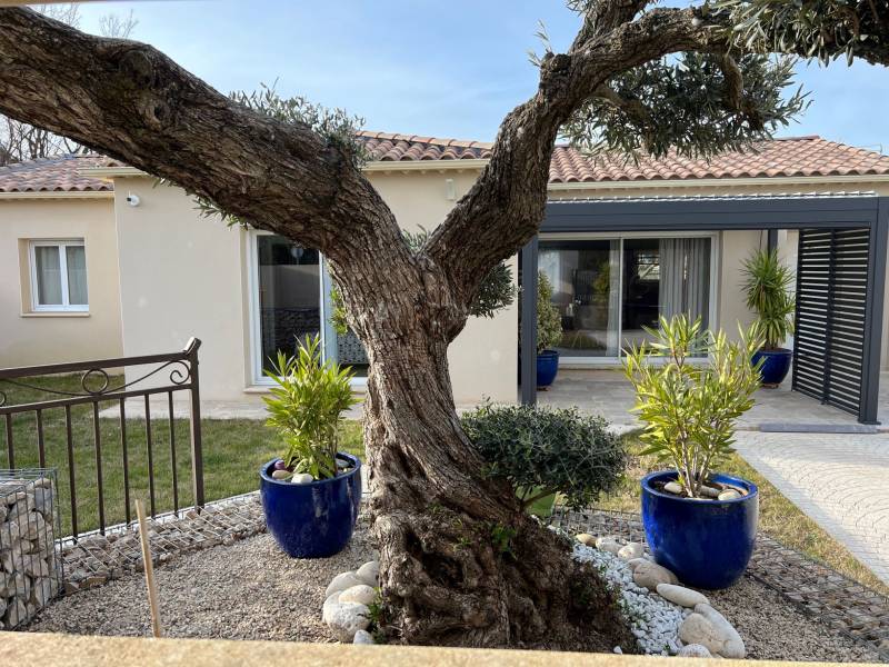 immobilier malemort du comtat