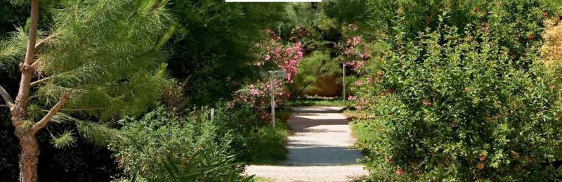 camargue immobilier