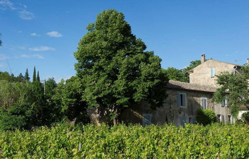 Mas en U avec sa cour intérieure à vendre à Oppède