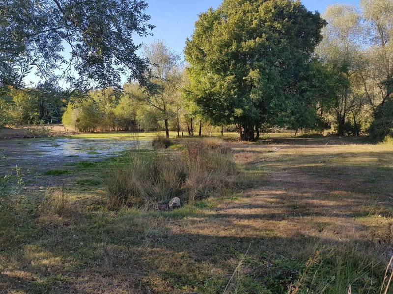Immobilier à vendre en Sologne