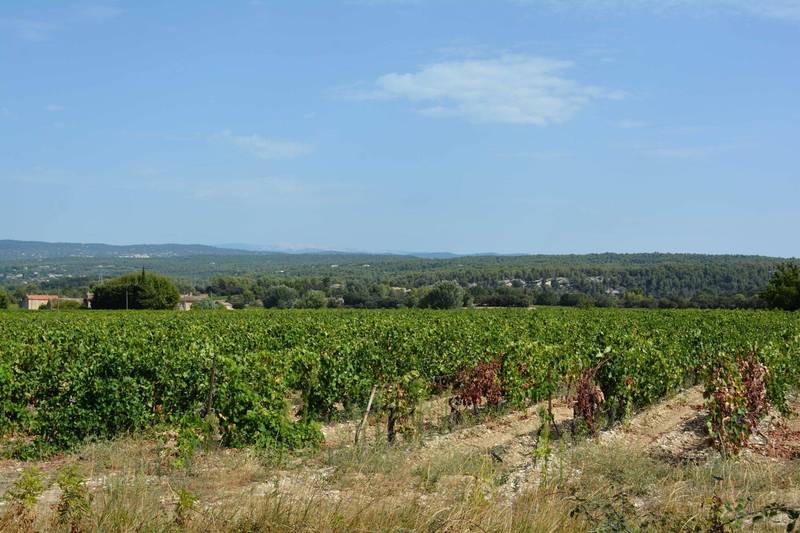 Maison à vendre à Menerbes au milieu des vignes