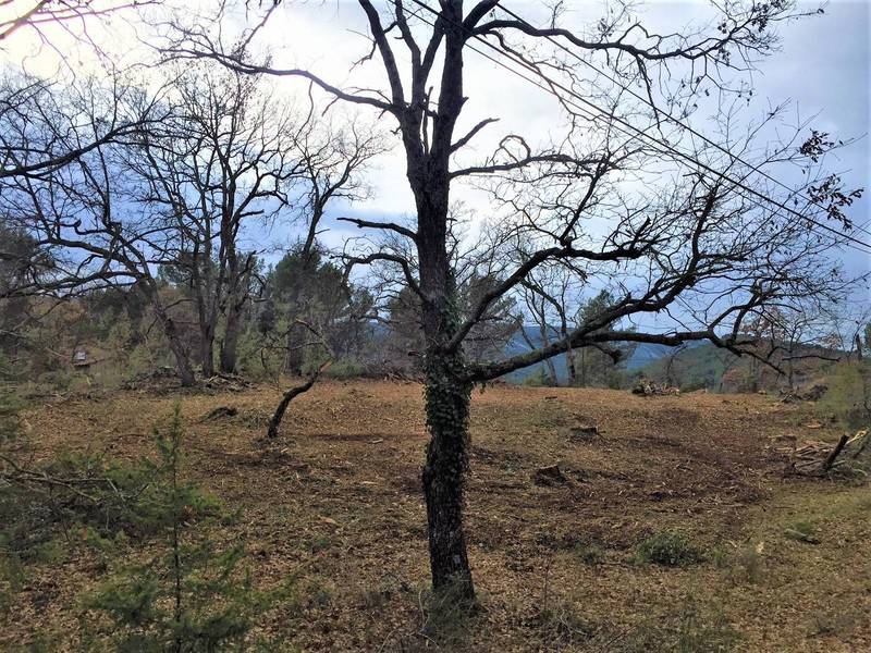 immobilier ménerbes