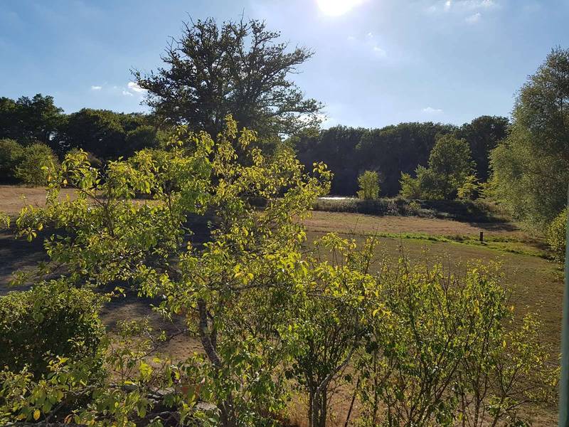 immobilier chasse sologne