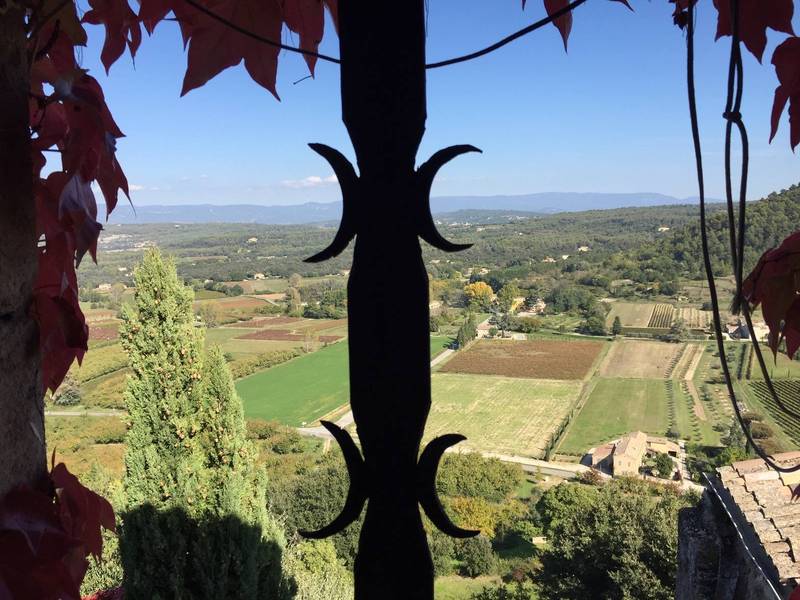 vaucluse immobilier