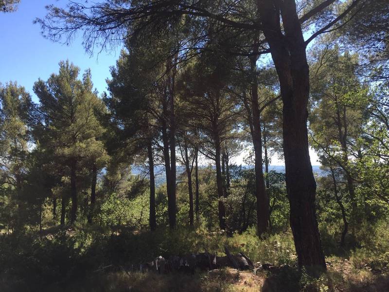 l'isle sur la sorgue immobilier