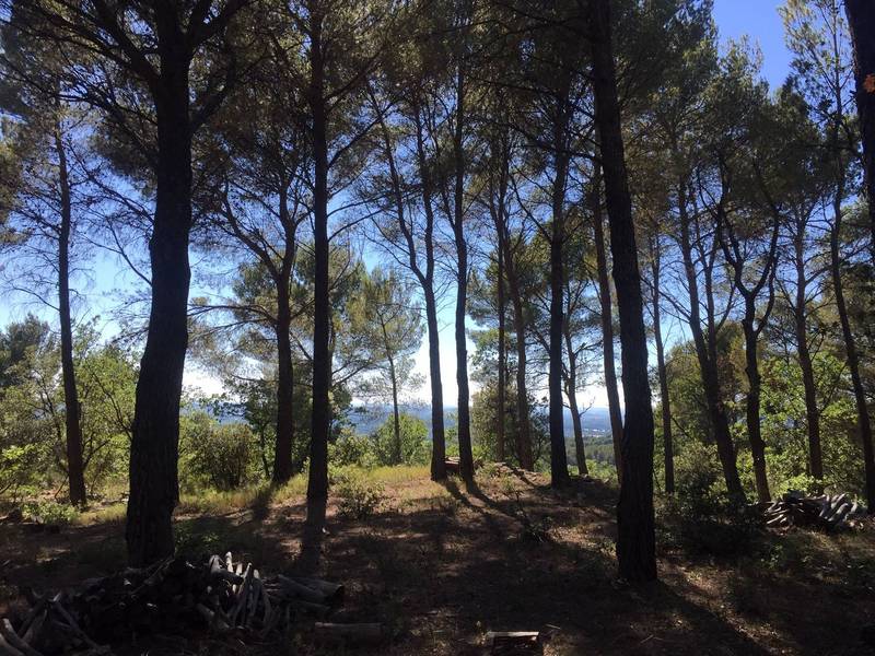 immobilier isle sur la sorgue