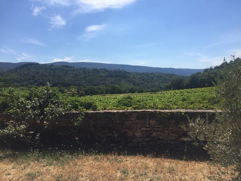 immobiliere du luberon