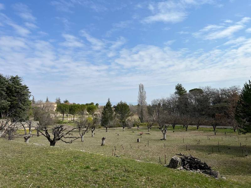 luberon immobilier