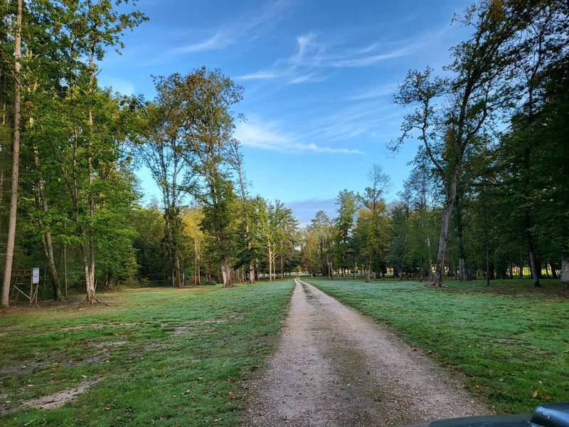 territoire de chasse sologne