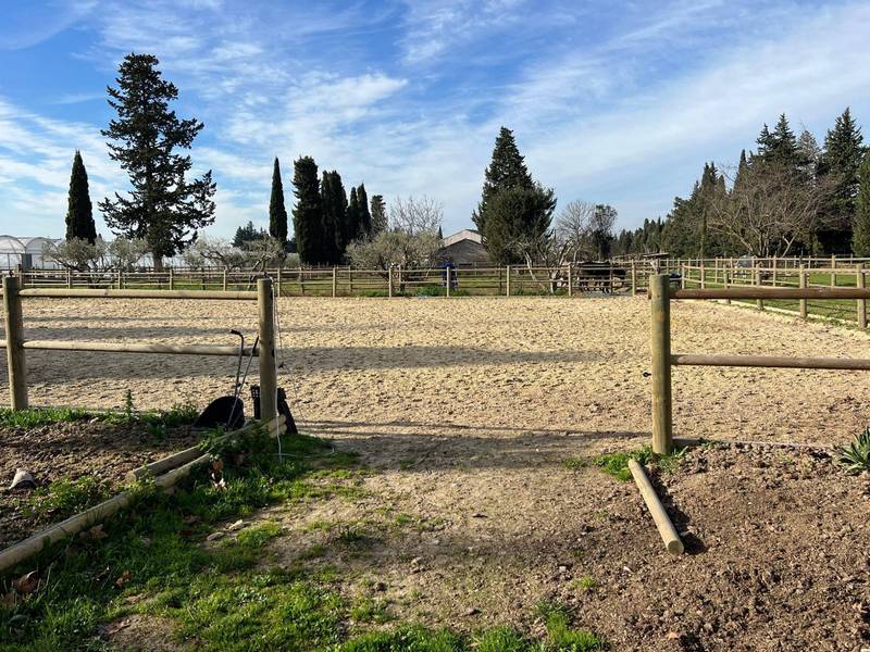 immobilier équestre alpilles